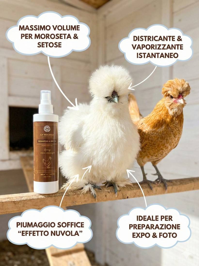 Shampoo a secco Ca' Rogiolo accanto a una Moroseta bianca e una Padovana camoscio