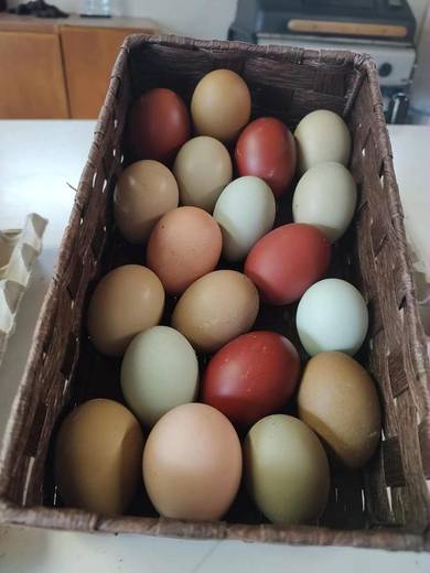 Cesto di uova di colori diversi